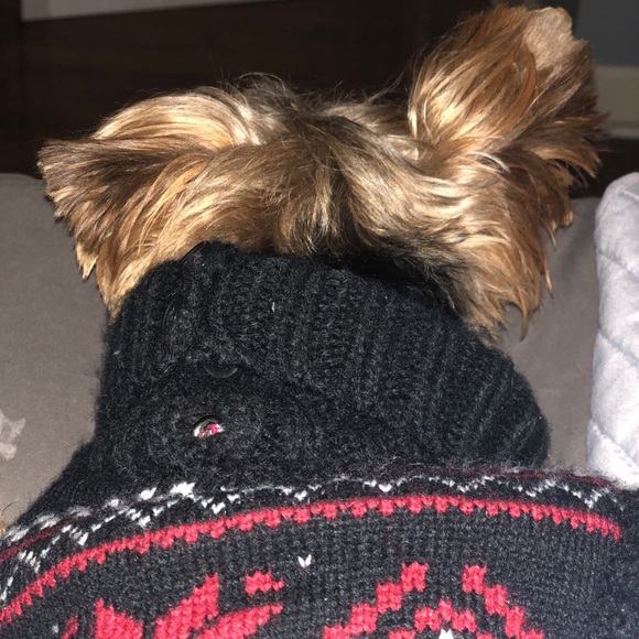 Meet your Posher, Savannah - Picture 1 of 1